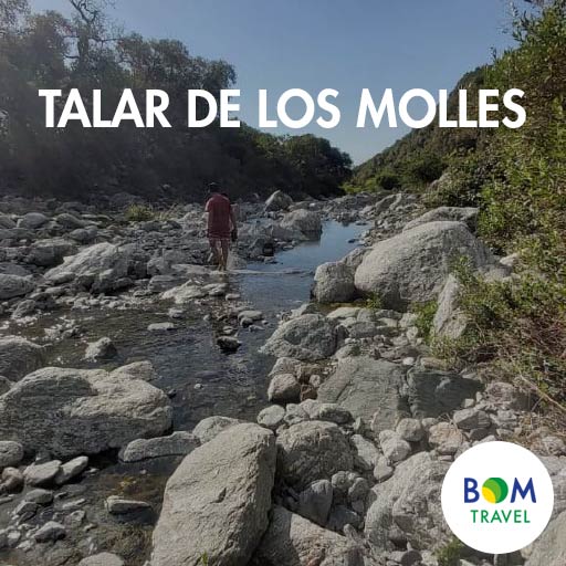 merlo_Talar-de-los-Molles