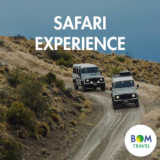 Safari-Experience