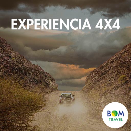 Experiencia-4x4