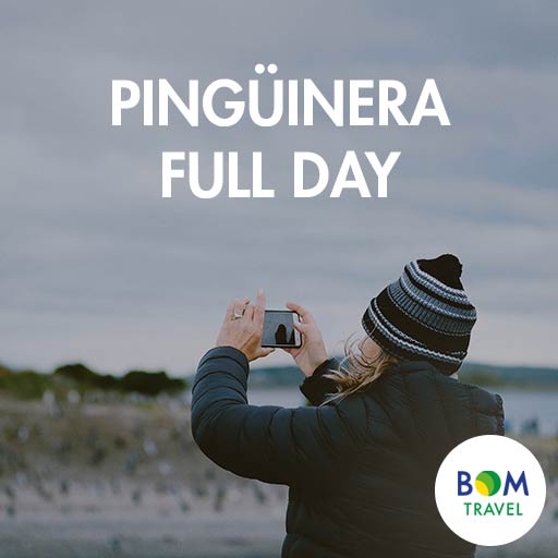 Pingüinera-Full-Day