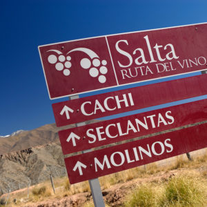 Ruta del Vino, Payogasta, Province of Salta, Argentina, South America