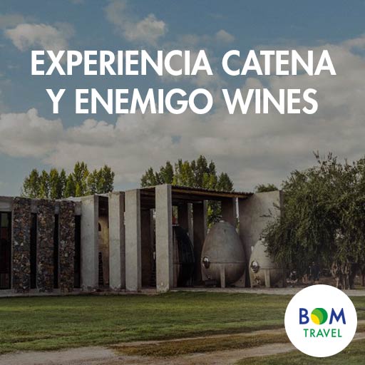 Experiencia-catena-y-enemigo-wines