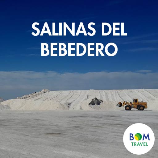 Salinas-del-Bebedero