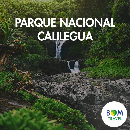 Parque-Nacional-Calilegua