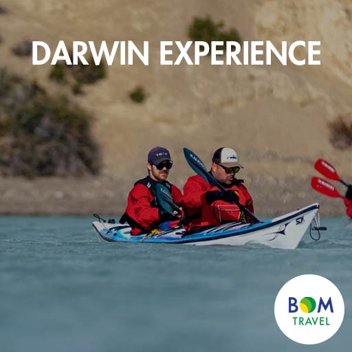 Darwin-Experience
