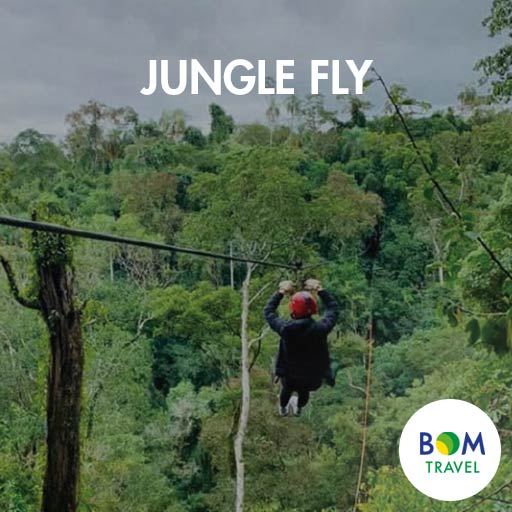 Jungle-Fly