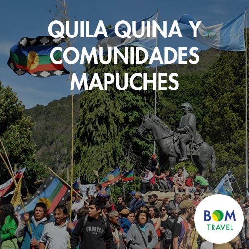 Quila-Quina-y-Comunidades-Mapuches
