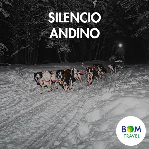 Silencio-Andino (1)