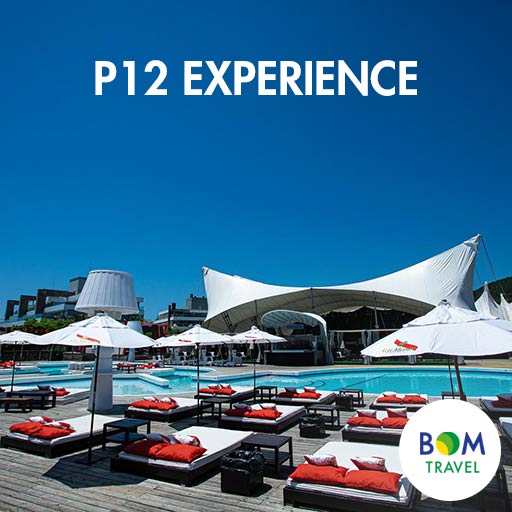 p12-experience