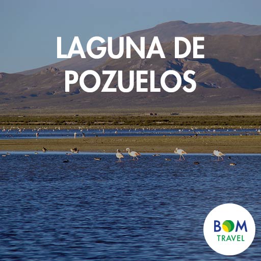 Laguna-de-Pozuelos