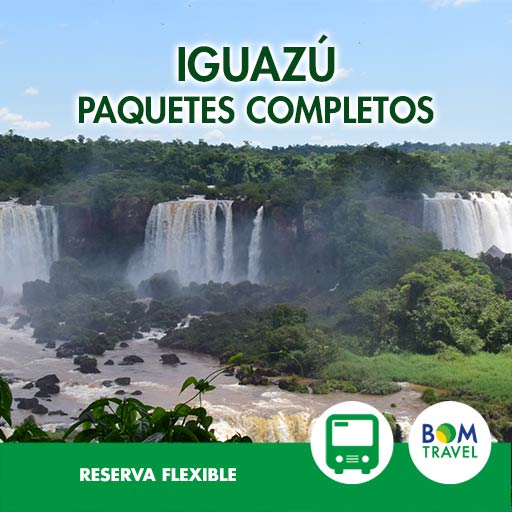 2023-iguazu bus flexible