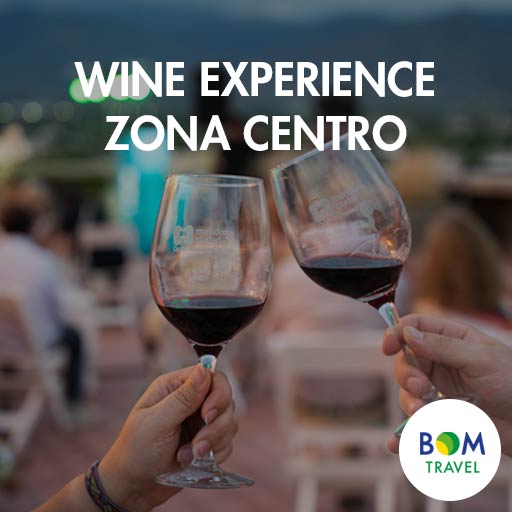 WINE-EXPERIENCE--ZONA-CENTRO