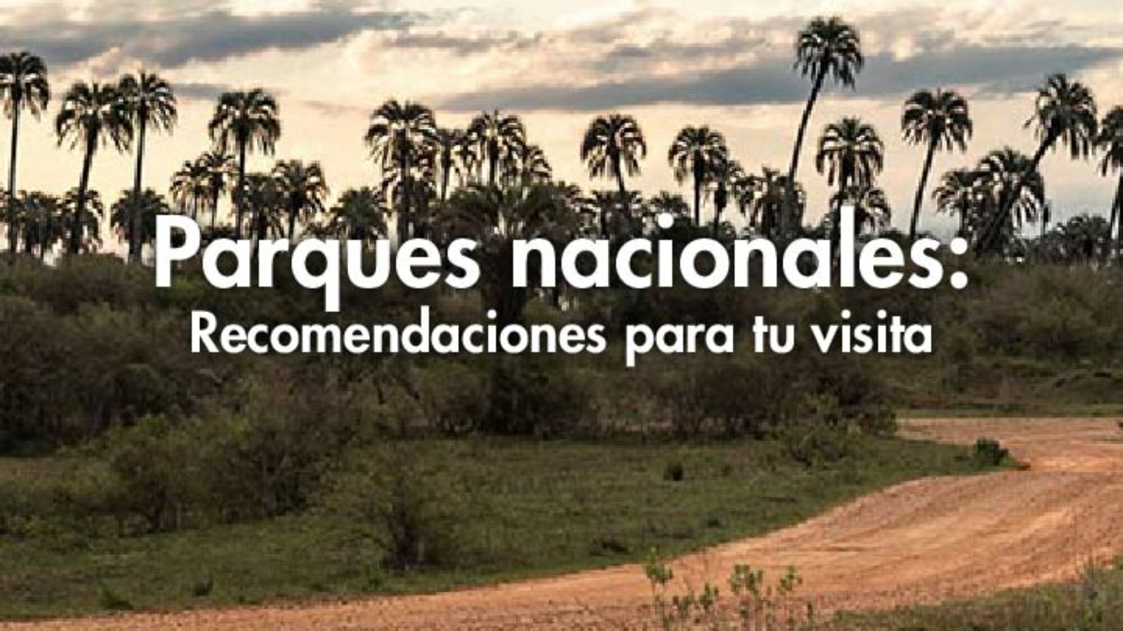 blog portada_Parques nacionales-recomendaciones