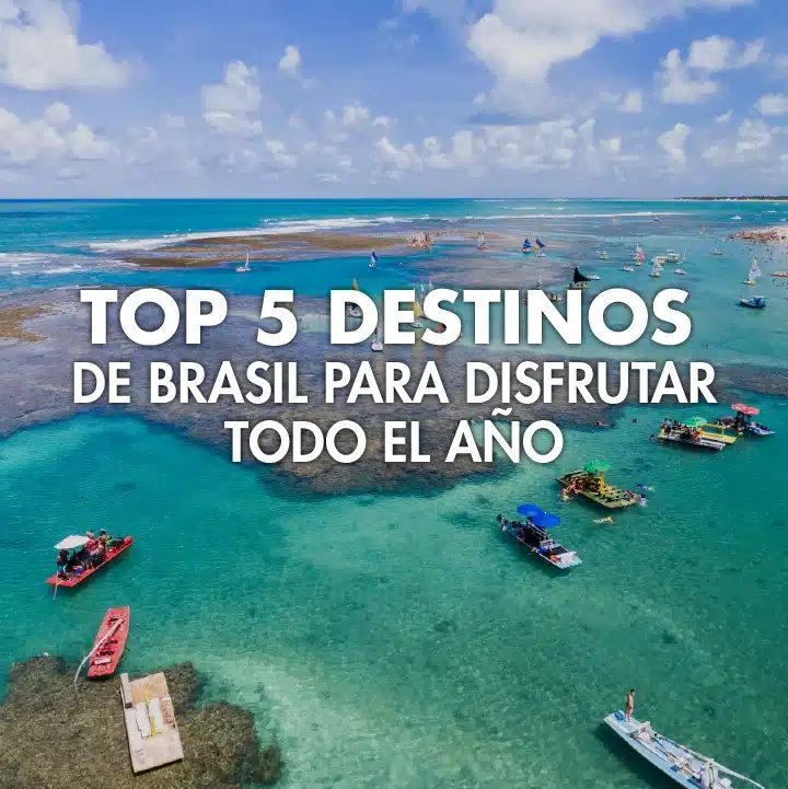 blog_blog top 5 BR todo el año